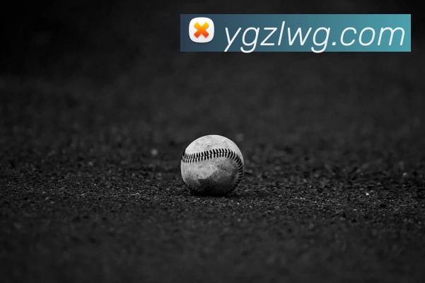 全运会商业价值与赞助商合作分析_20260527111743